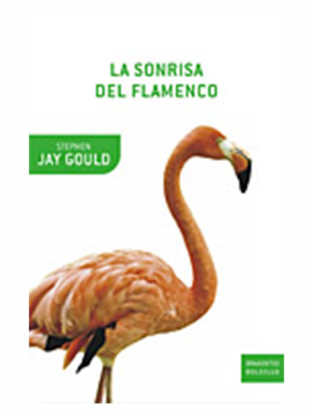 SONRISA DEL FLAMENCO, LA