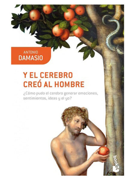 Y EL CEREBRO CREÓ AL HOMBRE
