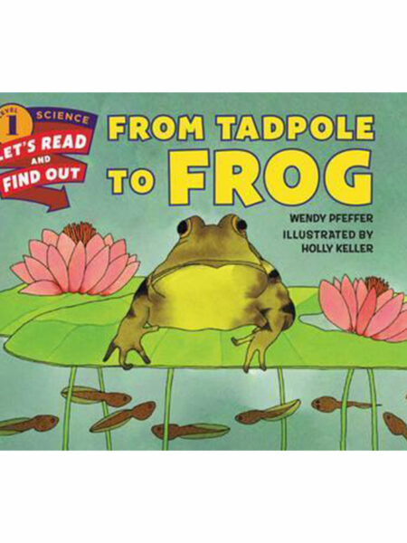 FROM TADPOLE TO FROG