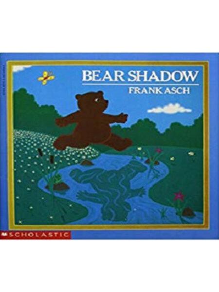 BEAR SHADOW