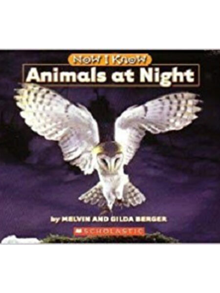 ANIMALS AT NIGHT -NOW I KNOW-