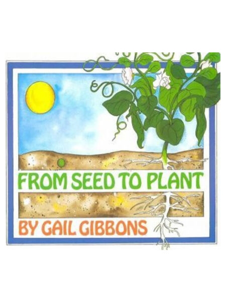 FROM SEED TO PLANT