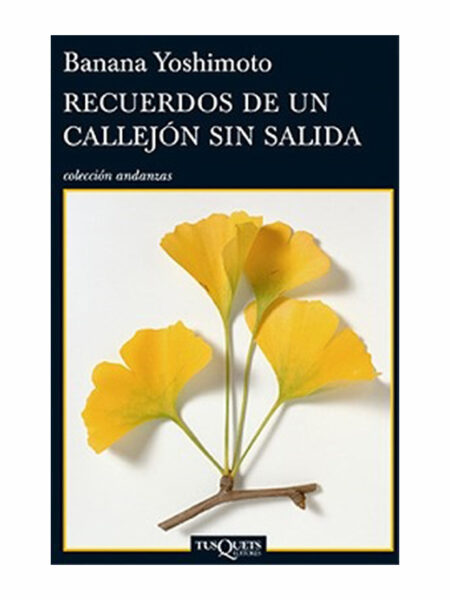 RECUERDOS DE UN CALLEJÓN SIN SALIDA