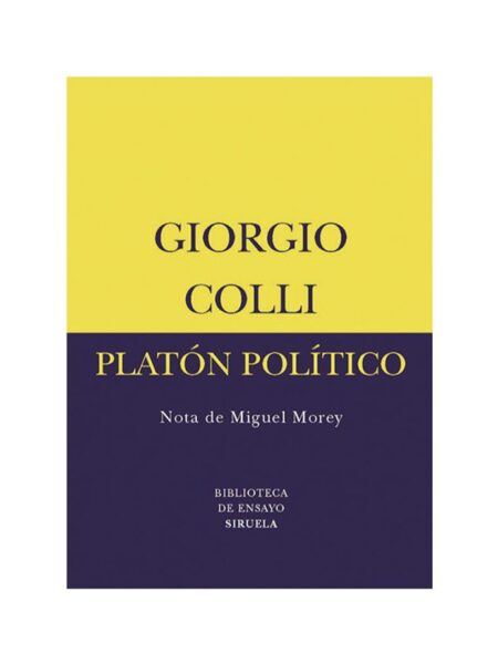 PLATÓN POLÍTICO