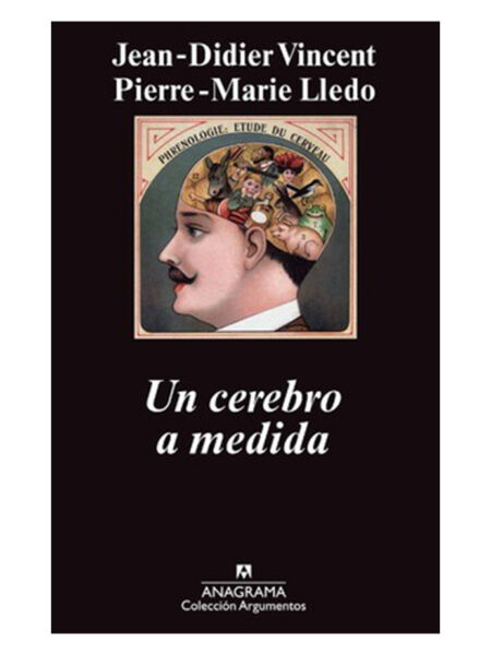 CEREBRO A MEDIDA, UN