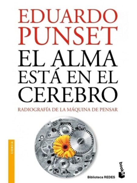 ALMA ESTÁ EN EL CEREBRO, EL