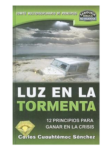 LUZ EN LA TORMENTA -TD-