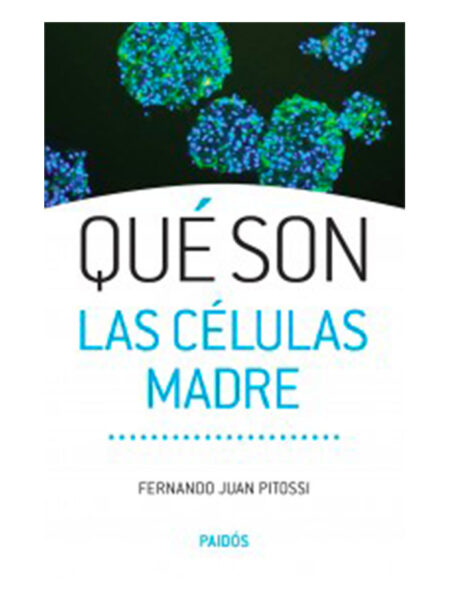 QUÉ SON LAS CÉLULAS MADRE