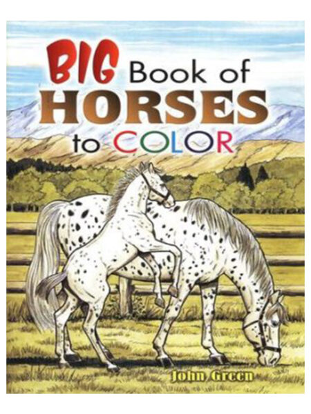 BIG BOOK OF HORSES TO COLOR