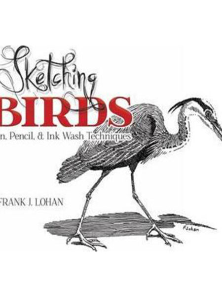 SKETCHING BIRDS PEN PENCIL & INK WASH TECHNIQUES
