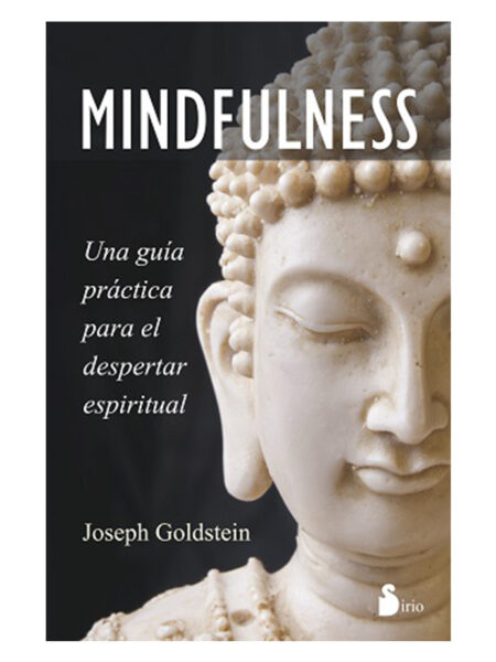 MINDFULNESS -GUÍA PRÁCTICA PARA EL DESPERTAR ESPIRITUAL-