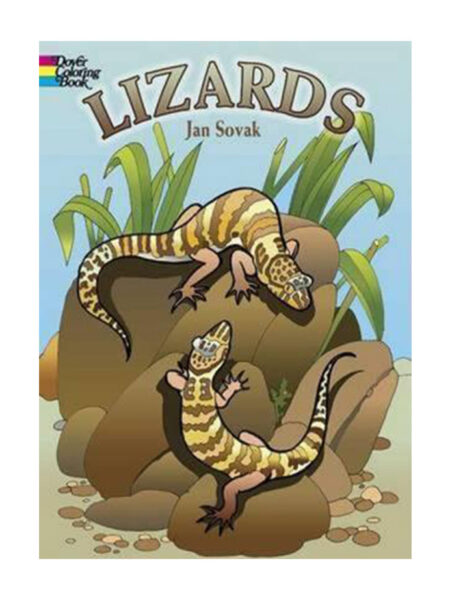 LIZARDS COLORING BOOK