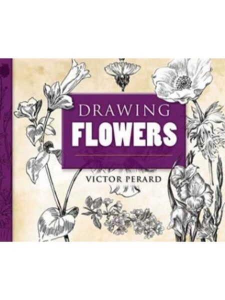 DRAWING FLOWERS