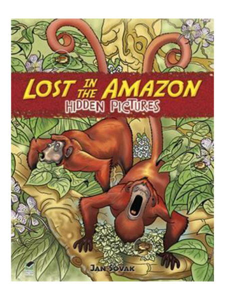 LOST IN THE AMAZON HIDDEN PICTURES