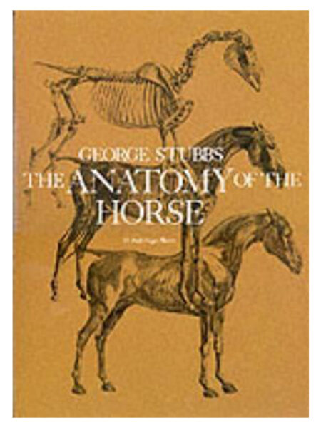 ANATOMY OF THE HORSE, THE