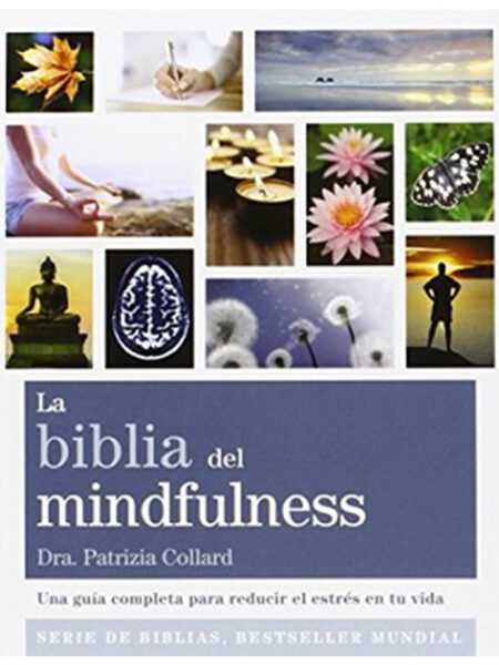 BIBLIA DEL MINDFULNESS, LA -SERIE DE BIBLIAS-