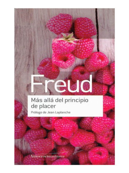MÁS ALLÁ DEL PRINCIPIO DE PLACER