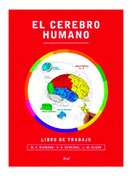 CEREBRO HUMANO, EL -LIBRO DE TRABAJO-