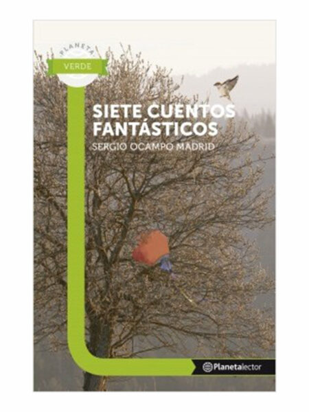 SIETE CUENTOS FANTÁSTICOS -PL VER 12 AÑOS