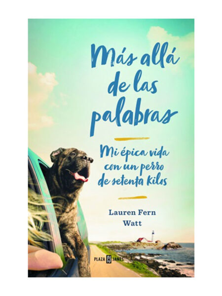 MÁS ALLÁ DE LAS PALABRAS