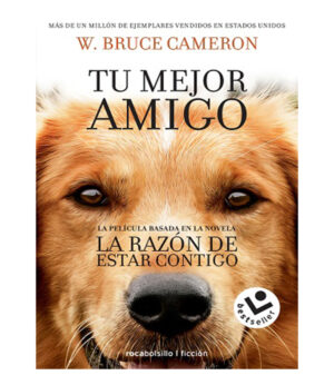 RAZÓN DE ESTAR CONTIGO, LA