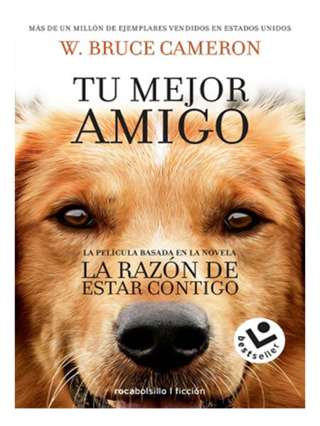 RAZÓN DE ESTAR CONTIGO, LA