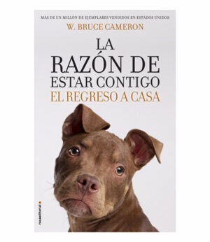 RAZÓN DE ESTAR CONTIGO, LA. -EL REGRESO A CASA-