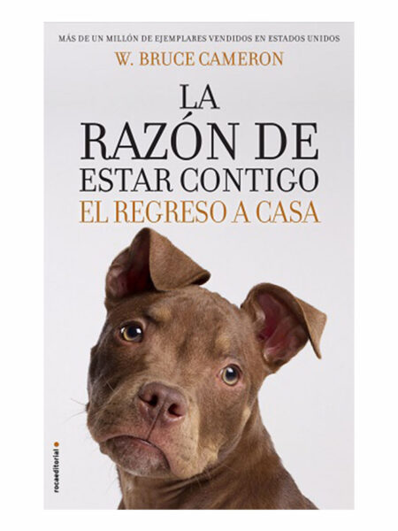 RAZÓN DE ESTAR CONTIGO, LA. -EL REGRESO A CASA-
