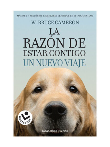 RAZÓN DE ESTAR CONTIGO -UN NUEVO VIAJE-
