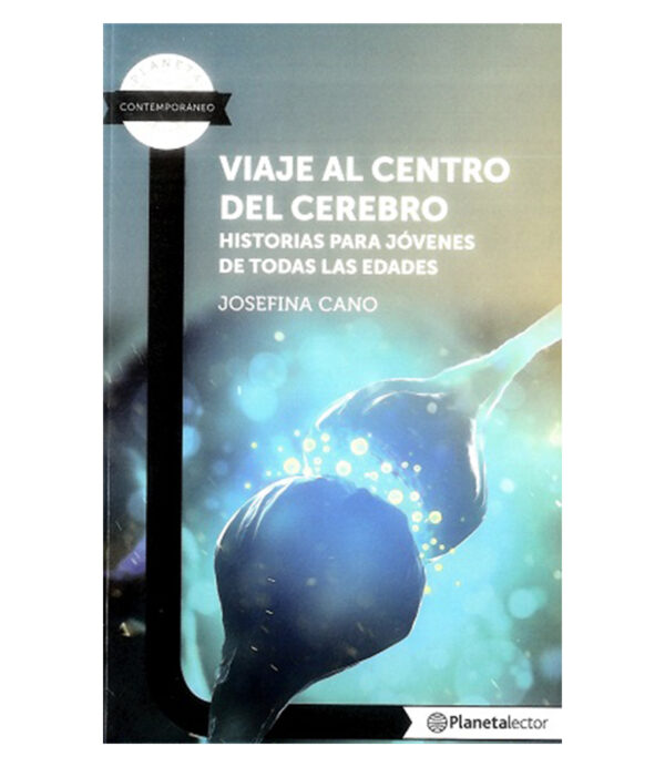 TRIUNFO DE LA CIRUGÍA, EL