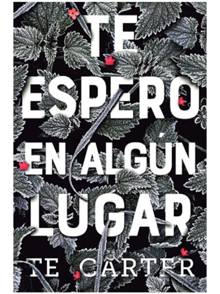 TE ESPERO EN ALGÚN LUGAR