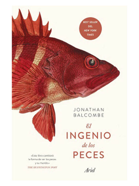 INGENIO DE LOS PECES, EL