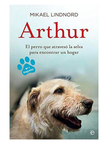 ARTHUR EL PERRO QUE ATRAVESÓ LA JUNGLA PARA ENCONTRAR UN HOGAR