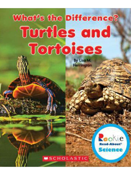 TURTLES AND TORTOISES -WHAT´S THE DIFFERENCE?-