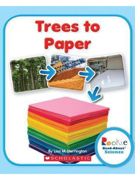 TREES TO PAPER