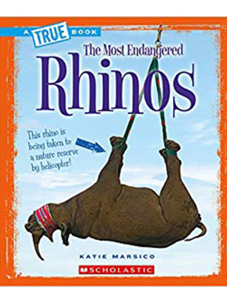 RHINOS