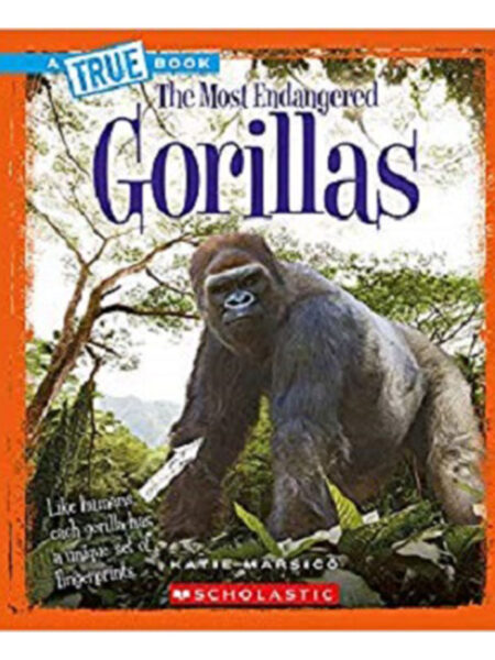 MOST ENDANGERED GORILLAS, THE