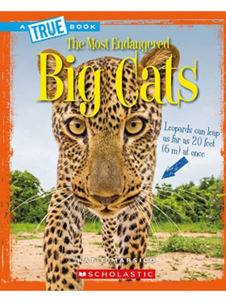 MOST ENDANGERED BIG CATS, THE