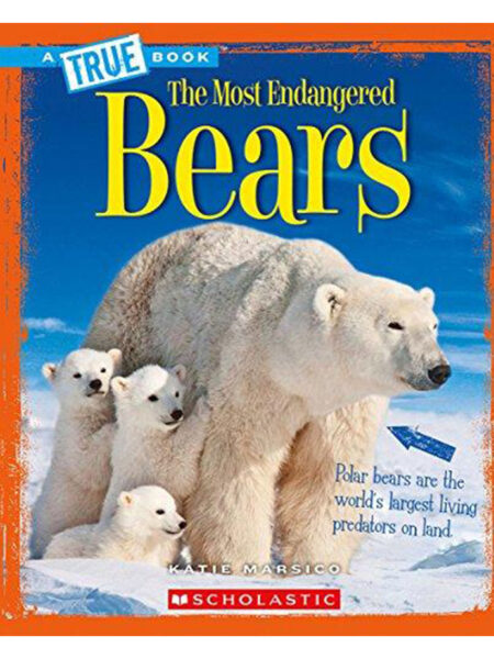 MOST ENDANGERED BEARS, THE