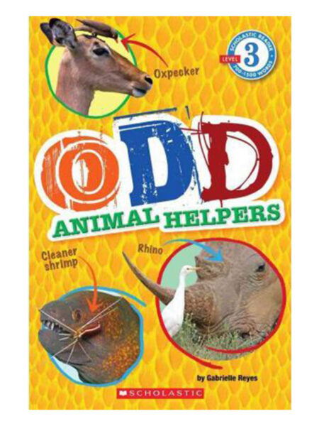 ODD ANIMAL HELPERS -LEVEL 3-