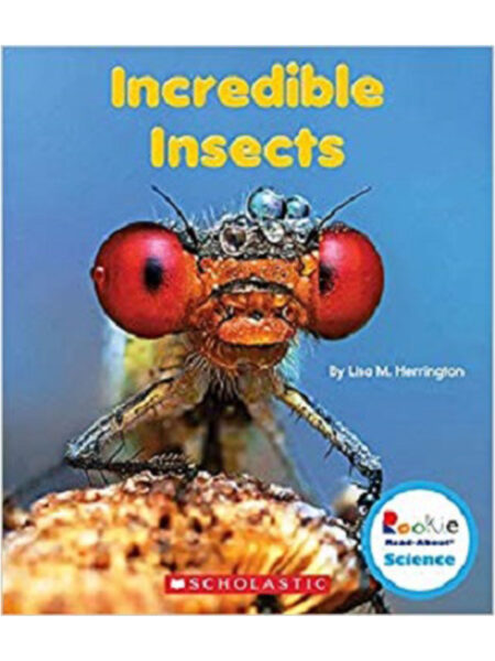 INCREDIBLE INSECTS