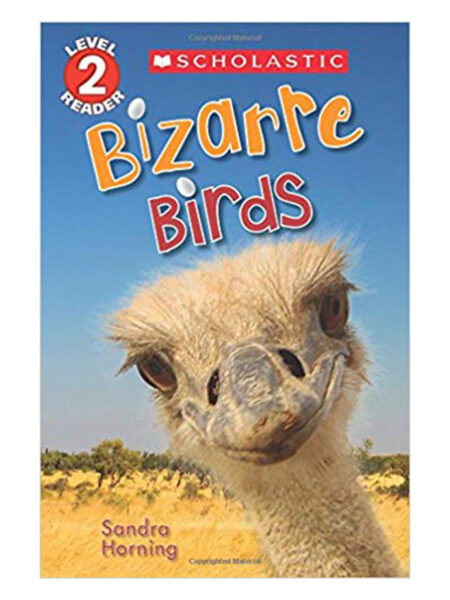 BIZARRE BIRDS -LEVEL 2-
