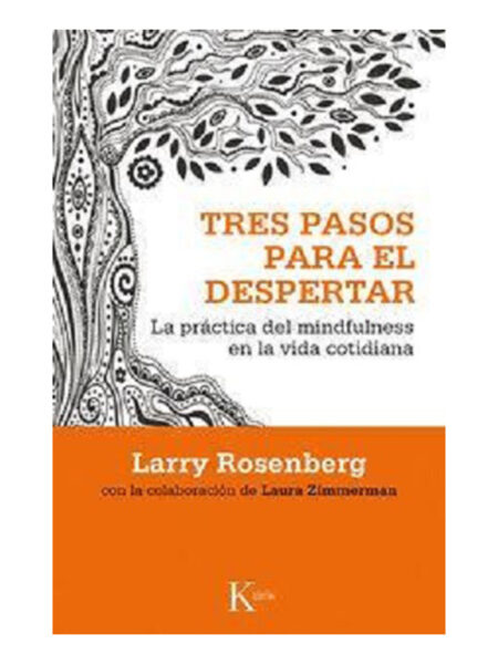 TRES PASOS PARA EL DESPERTAR -LA PRÁCTICA DEL MINDFULNESS EN LA VIDA COTIDIANA-