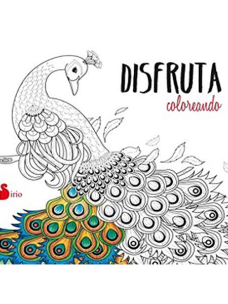 DISFRUTA COLOREANDO