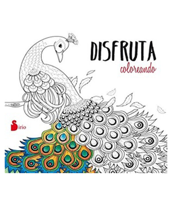 DISFRUTA COLOREANDO