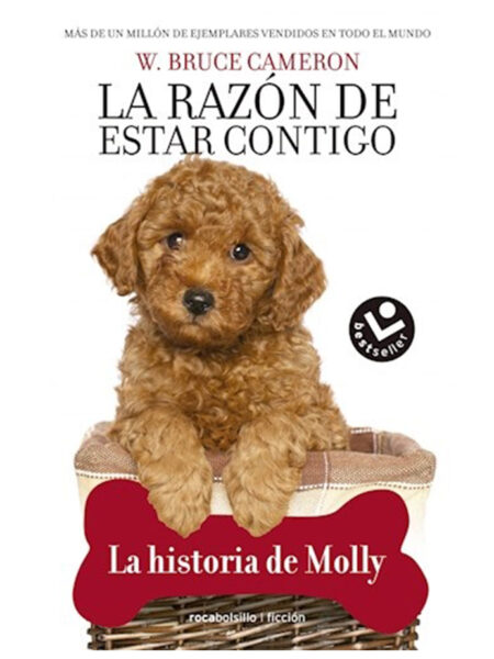 RAZÓN DE ESTAR CONTIGO 5, LA -LA HISTORIA DE MOLLY-