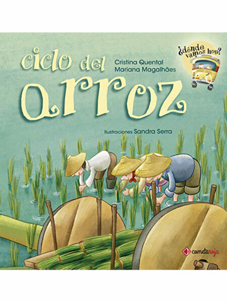 CICLO DEL ARROZ