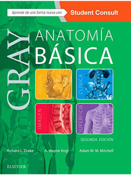 ANATOMÍA BÁSICA -GRAY-