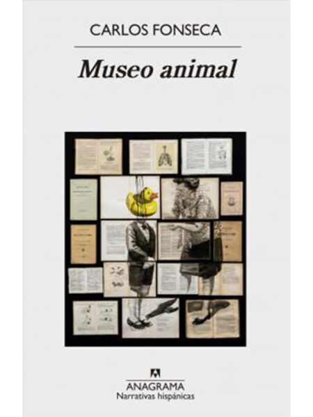 MUSEO ANIMAL