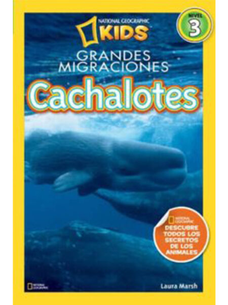 BALLENAS (CACHALOTES)